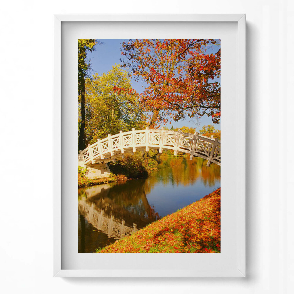 Tablou rama modern Parcul Woerlitzer în Toamna Aurie