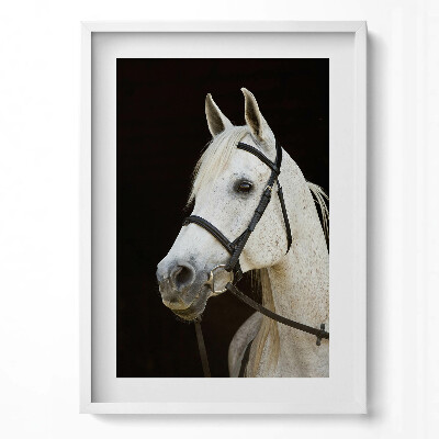 Tablou living cu rama modern Cal alb