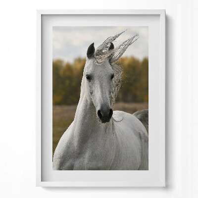 Tablou rama modern Un cal alb galopând