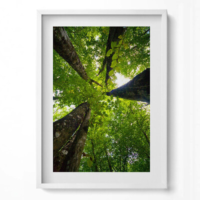 Tablou rama modern Copaci cu frunze verzi