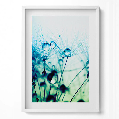 Tablou rama modern Picături de rouă pe păpădii