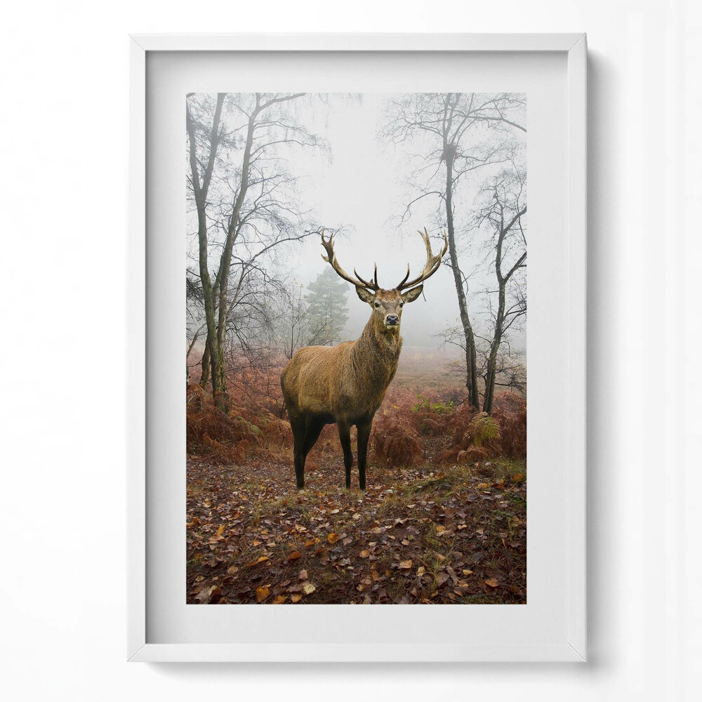 Tablou rama modern Cerbi în pădure în toamnă