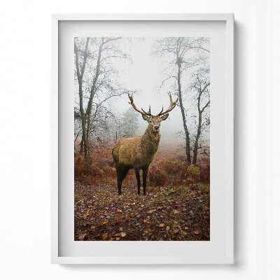 Tablou rama modern Cerbi în pădure în toamnă