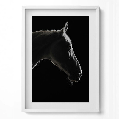 Tablou rama modern Cap de cal pe fundal negru