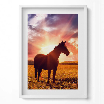 Tablou rama modern Un cal pe un câmp la apus