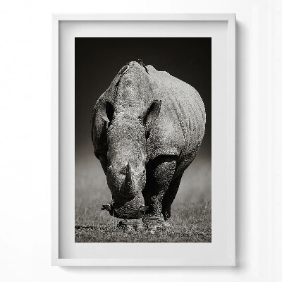 Tablou living cu rama modern Rinocer alb-negru