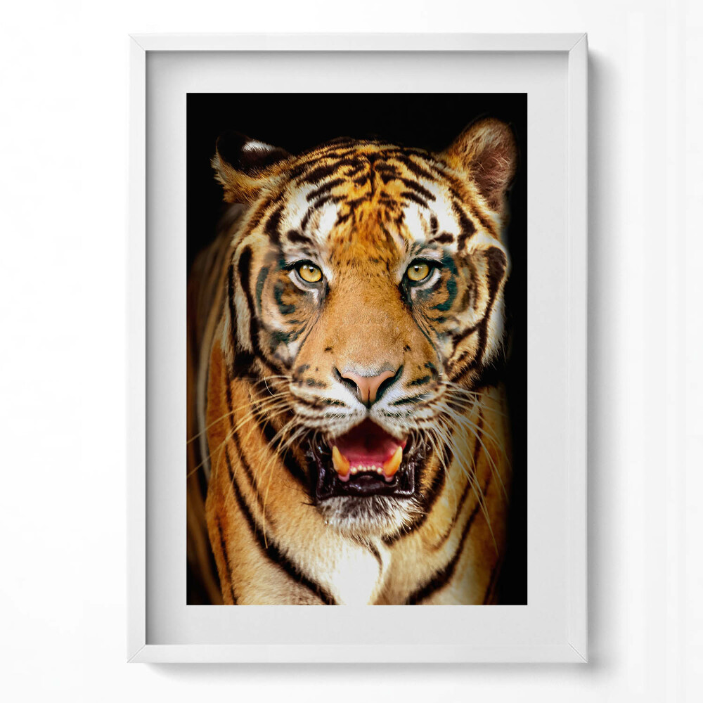 Tablou living cu rama modern O pisică tigru sălbatică distinctivă