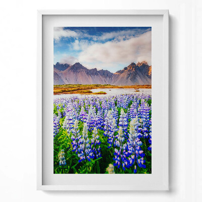 Tablou living cu rama modern Flori magice de lupin