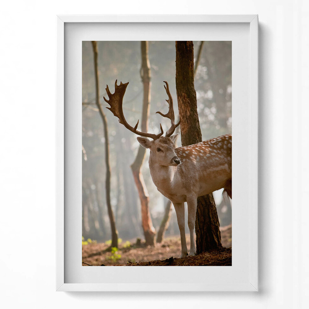 Tablou rama modern Cerbi în strălucirea soarelui care răsare