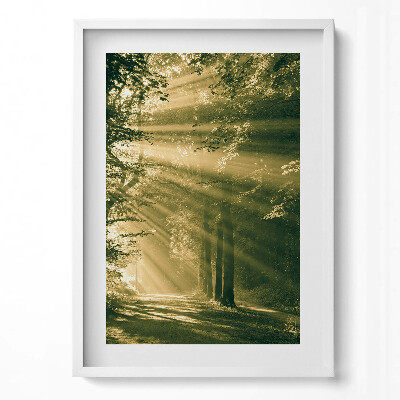 Tablou rama modern Razele soarelui în pădure