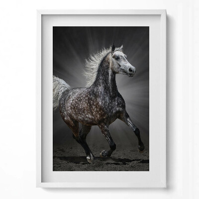 Tablou rama modern Calul galopant