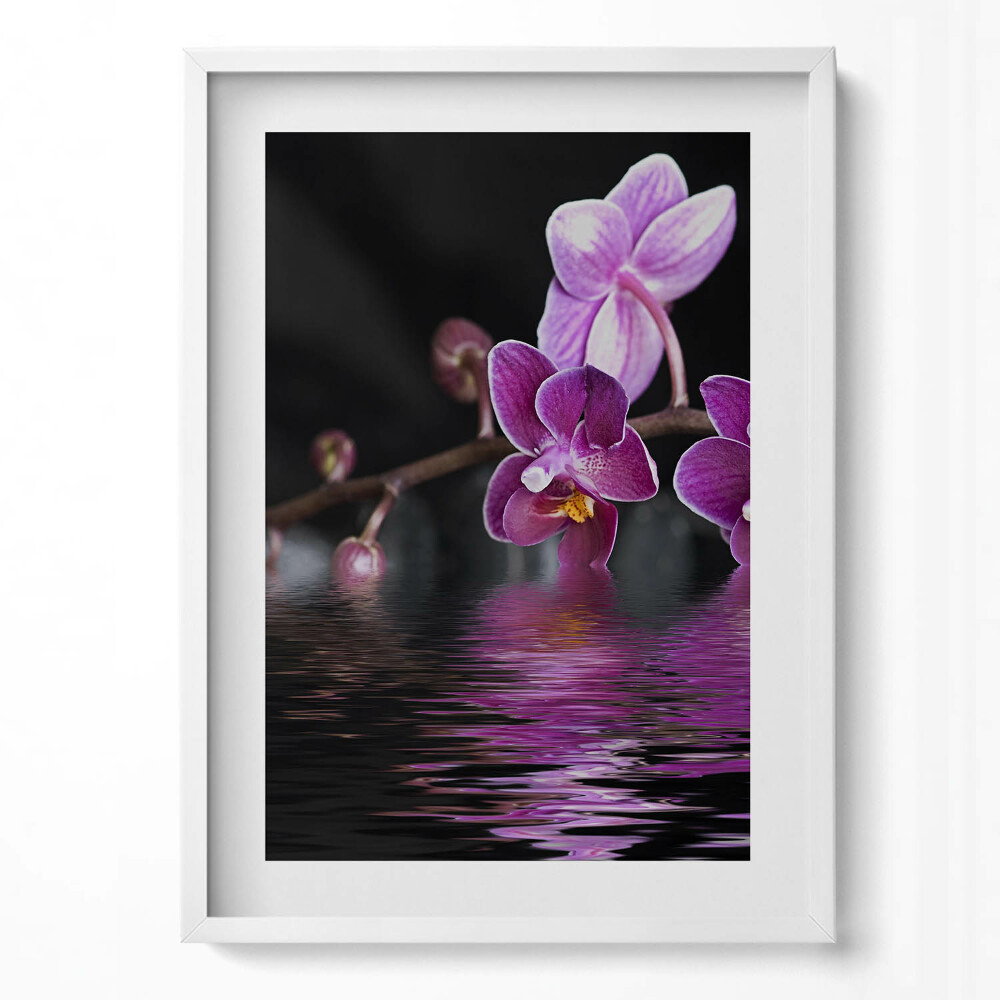 Tablou rama modern Orhidee roz pe apă