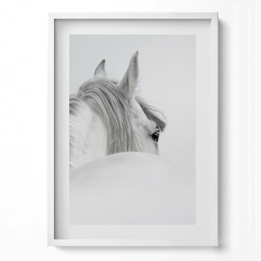 Tablou rama modern Cal andaluz în ceață