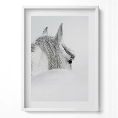 Tablou rama modern Cal andaluz în ceață