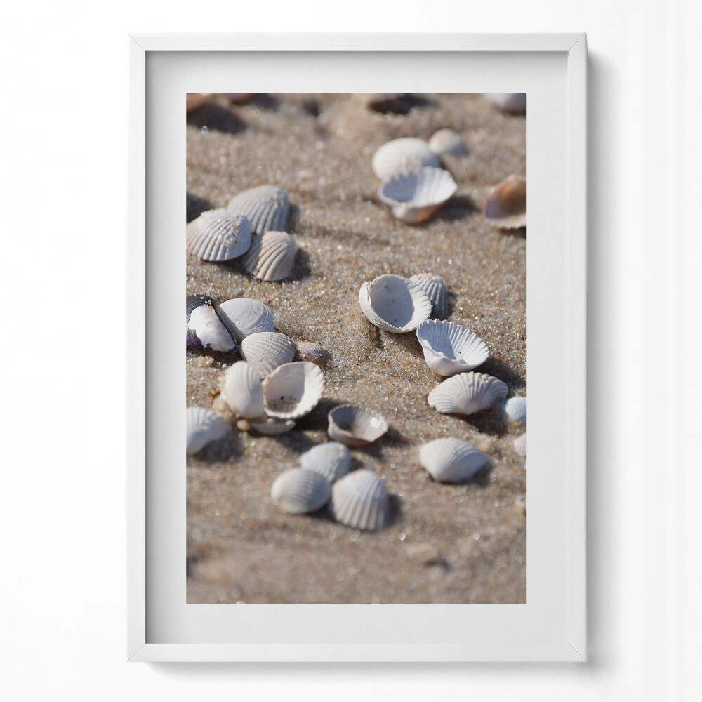 Tablou rama modern Scoici pe plajă