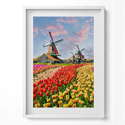 Tablou living cu rama modern Peisaj cu lalele Olanda
