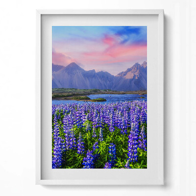 Tablou rama modern Câmpuri de lavandă - Islanda