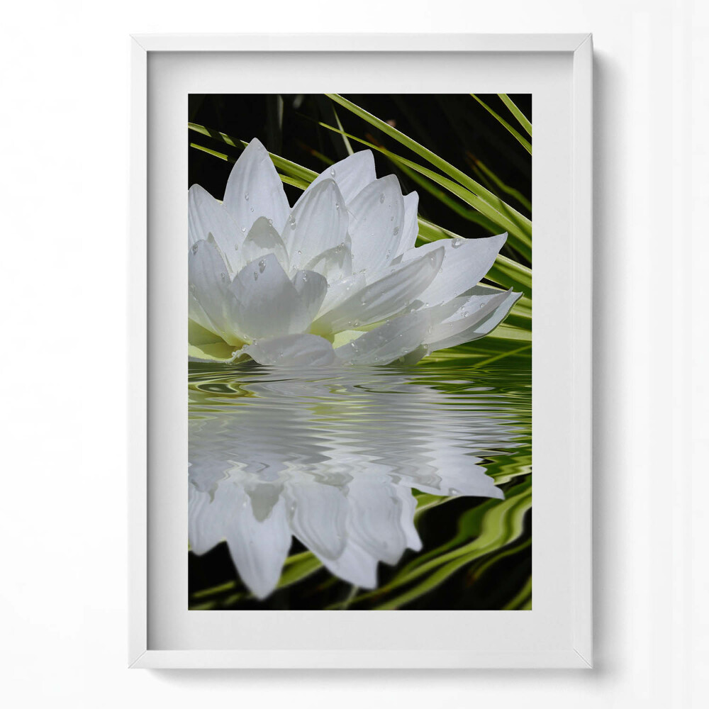 Tablou rama modern Nufăr și frunze