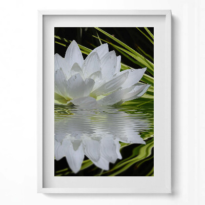 Tablou rama modern Nufăr și frunze