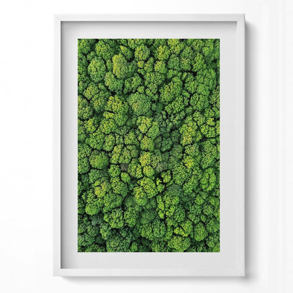 Tablou rama modern Pădurea din vedere