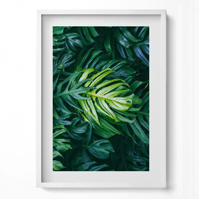 Tablou living cu rama modern Frunze de Monstera sălbatică