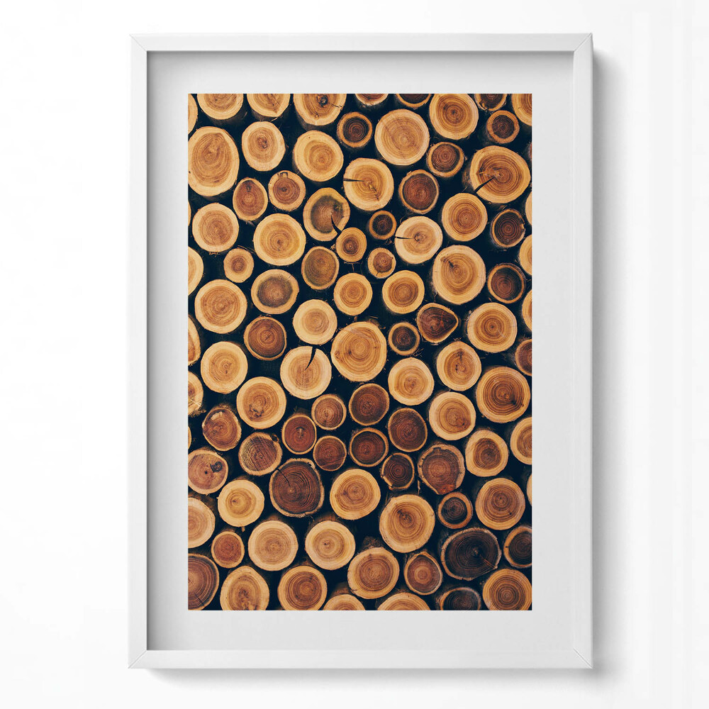 Tablou living cu rama modern Buturugi de copac din lemn