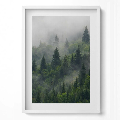Tablou living cu rama modern Peisaj de pădure în ceață