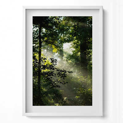 Tablou living cu rama modern Razele soarelui și copacii