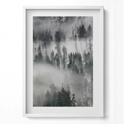 Tablou living cu rama modern Peisaj de pădure cețos