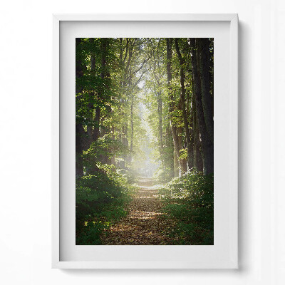 Tablou rama modern Drum forestier printre copaci