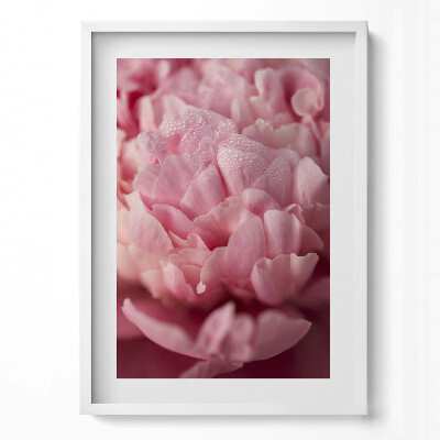 Tablou rama modern Petale delicate de flori