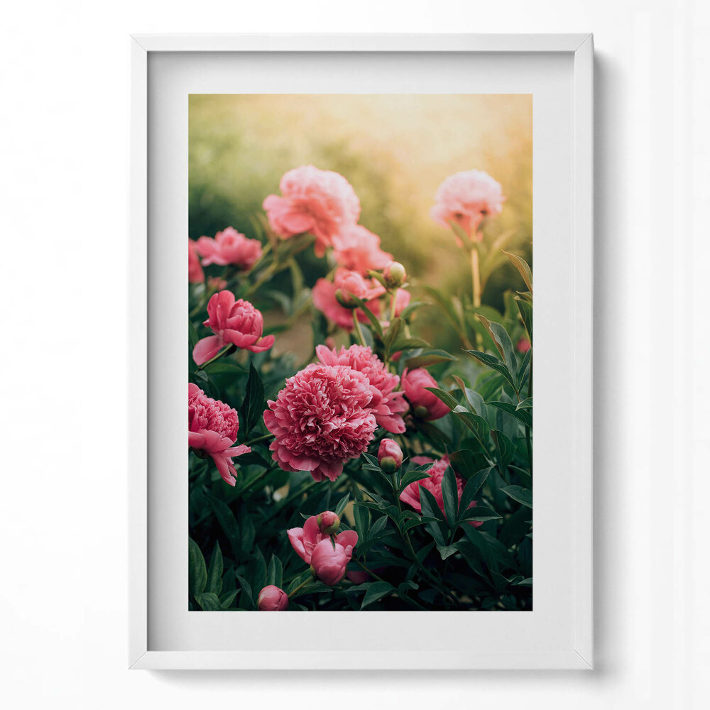 Tablou living cu rama modern Flori roz în pajiște