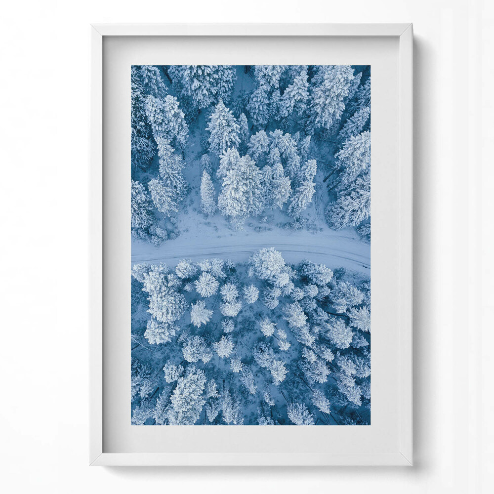 Tablou living cu rama modern Pădurea din vedere dinspre o pasăre, cu dronă