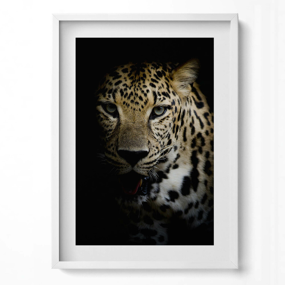 Tablou living cu rama modern Tigru sălbatic în negru