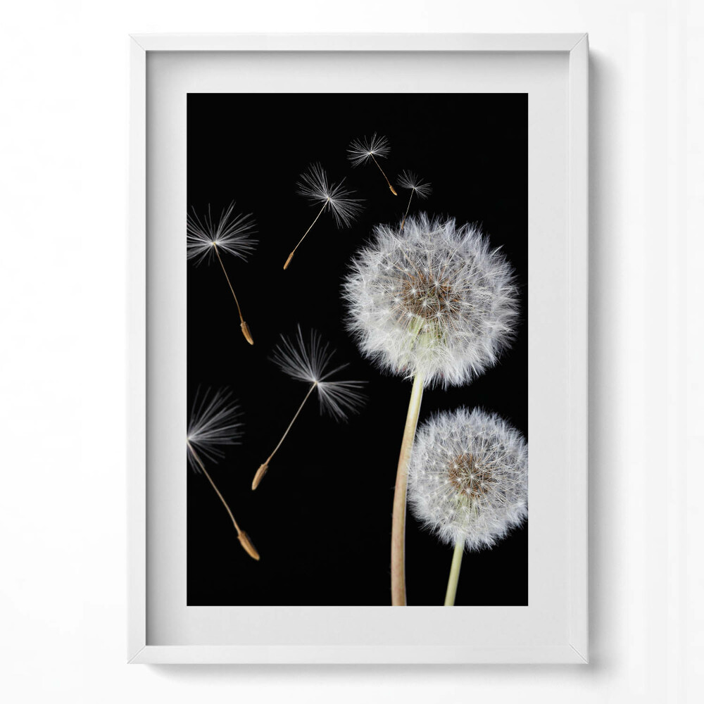 Tablou rama modern Două păpădii