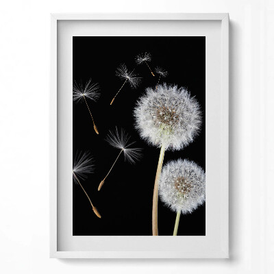 Tablou rama modern Două păpădii