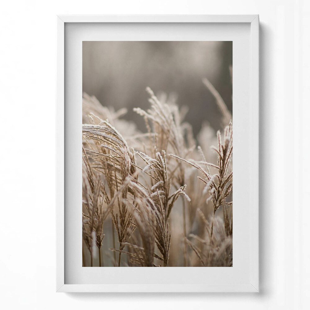 Tablou rama modern Ierburi delicate Boho