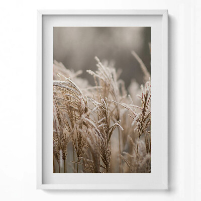 Tablou rama modern Ierburi delicate Boho