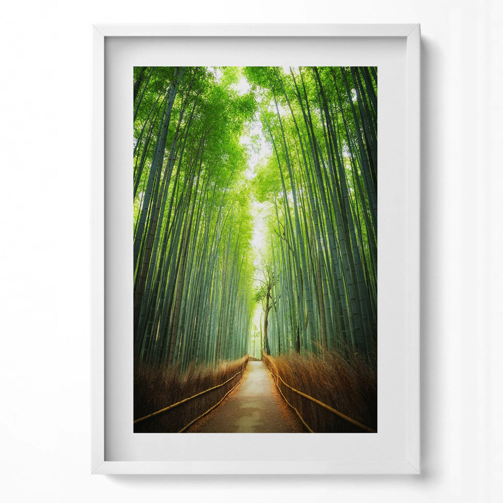 Tablou living cu rama modern Pădurea de bambus Arashiyama Kyoto Japonia