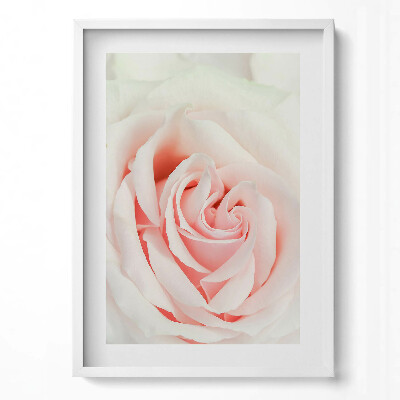 Tablou rama modern Prim-plan al petalelor de trandafir