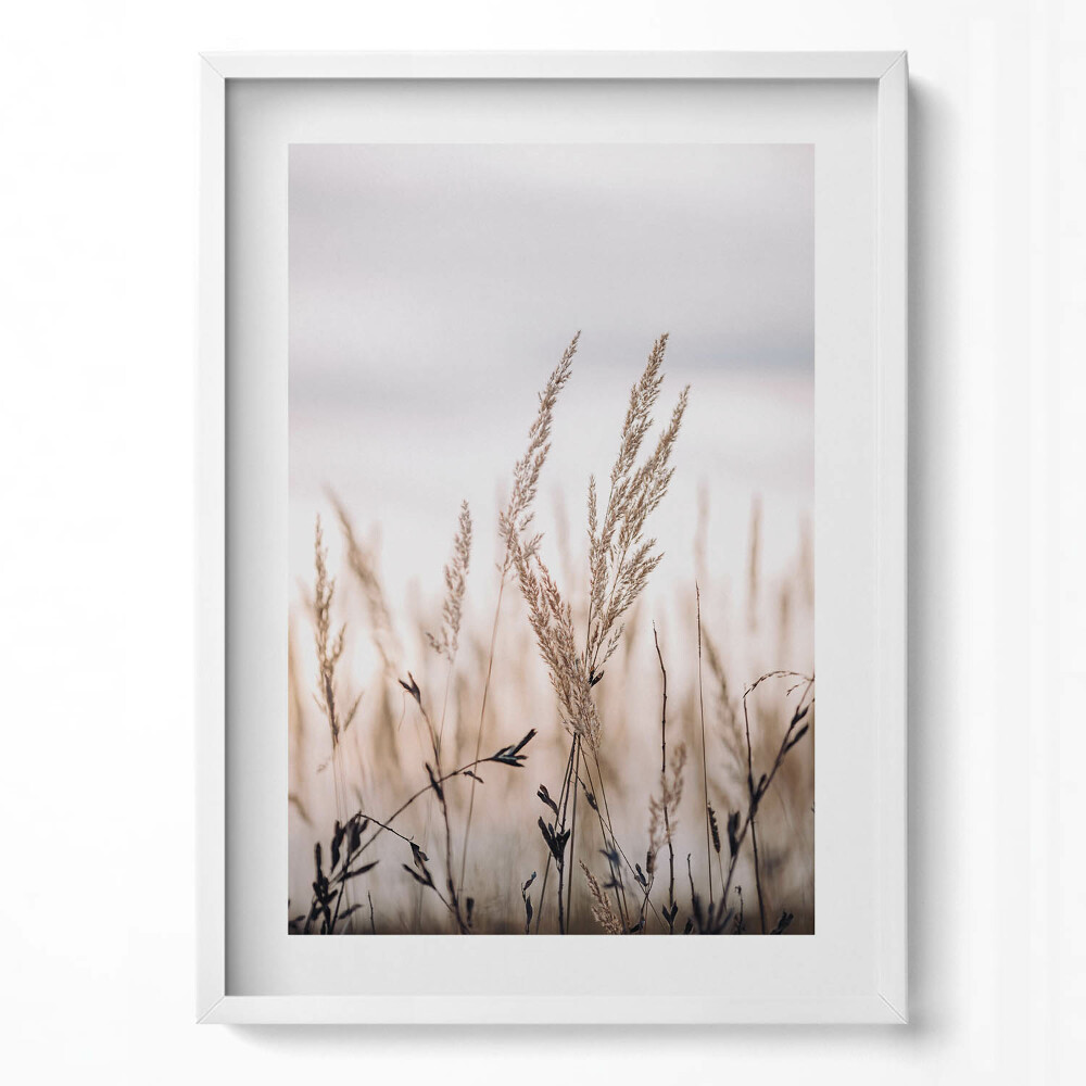 Tablou living cu rama modern Peisaj romantic boho cu ierburi delicate