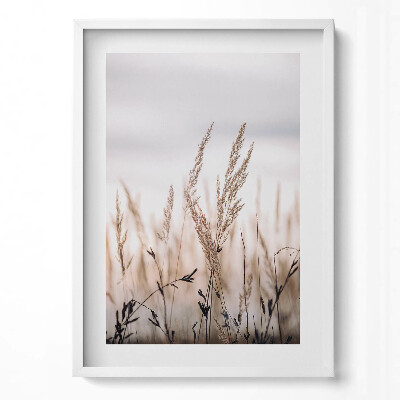 Tablou living cu rama modern Peisaj romantic boho cu ierburi delicate