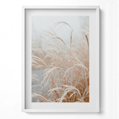 Tablou living cu rama modern Ierburi delicate boho