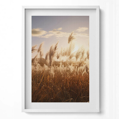 Tablou rama modern Apus de soare romantic peste iarbă