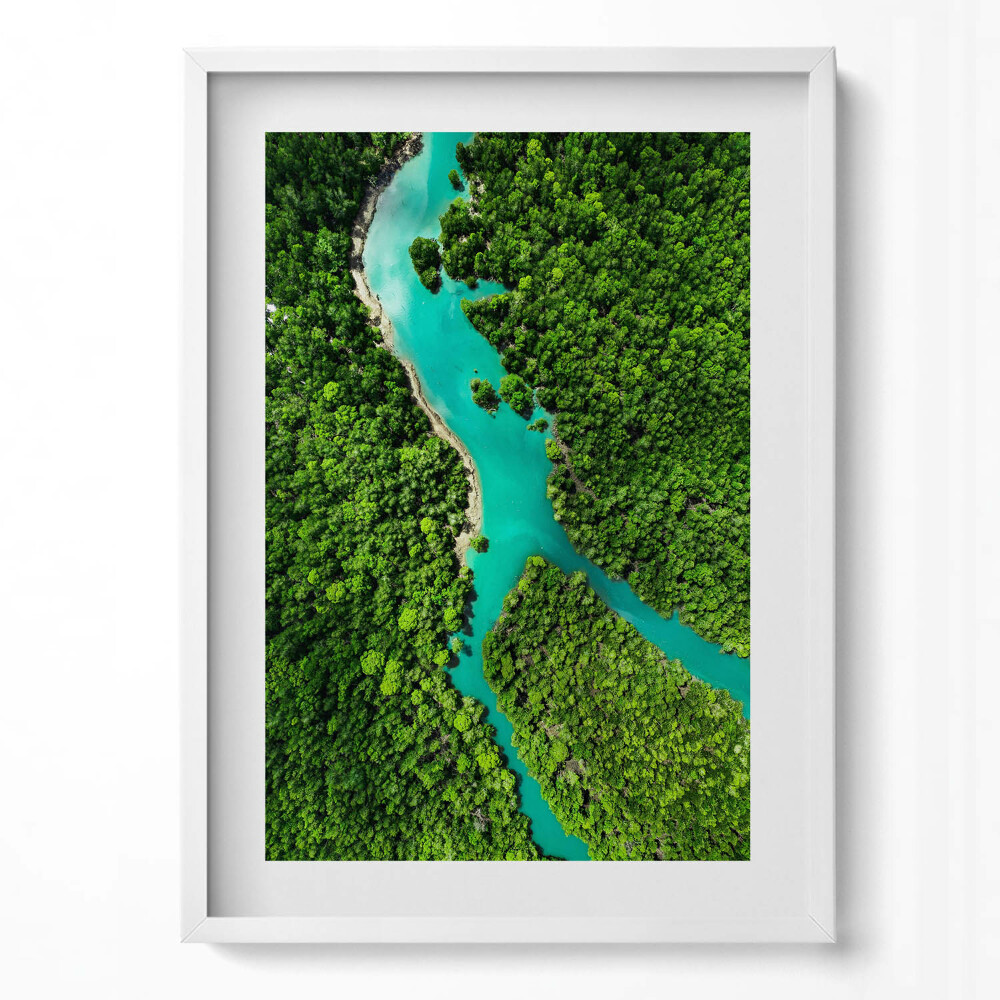 Tablou living cu rama modern Vedere aeriană a unui râu în pădurile tropicale