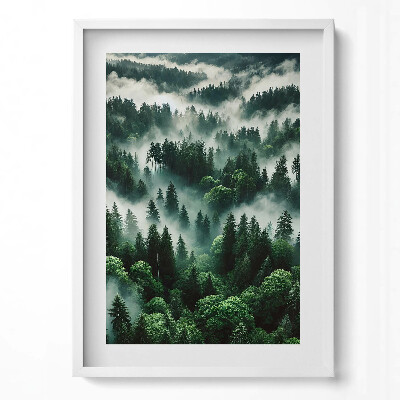 Tablou rama modern Peisaj de ceață de dimineață în pădure