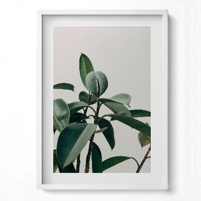 Tablou rama modern Stil minimalist de plantă verde