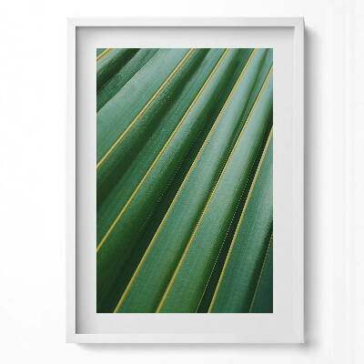 Tablou living cu rama modern Textură de plantă verde