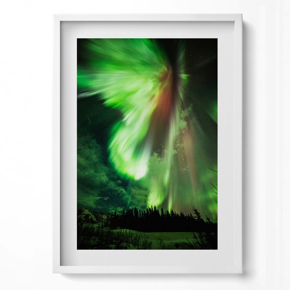 Tablou rama modern Aurora boreală verde deasupra pădurii