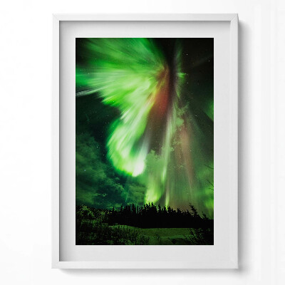 Tablou rama modern Aurora boreală verde deasupra pădurii